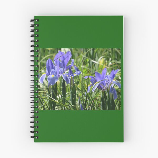 Artikelvorschau, Blaue und gelbe Holländische Iris entworfen und verkauft von Honey Myrtle Studio.