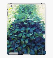 Vines iPad Case/Skin