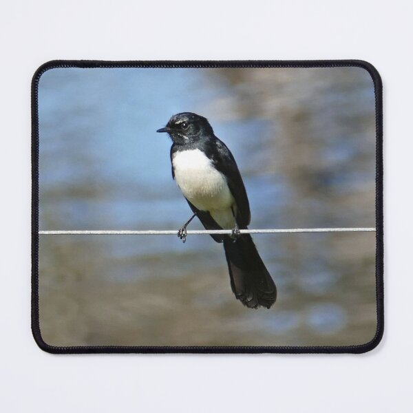 Item preview, Willy Wag Tail  designed and sold by Caroline Scott.