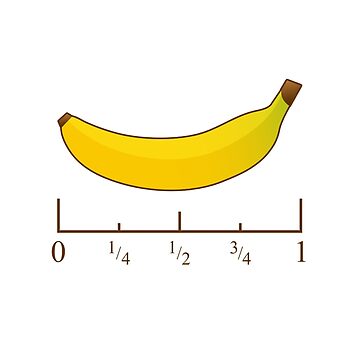 Banana for Scale Ruler Magnet 