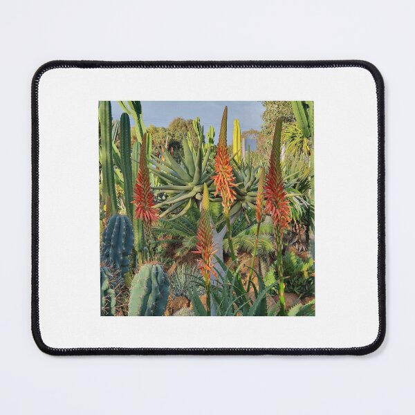 Item preview, Cactus designed and sold by Caroline Scott.