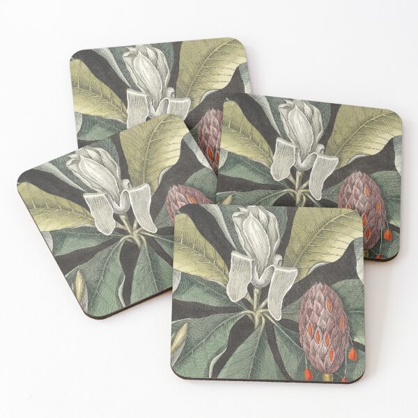 Item preview, Umbrella Tree (Magnolia) from the natural history of Carolina, Florida, and the Bahama Islands  designed and sold by capotees.