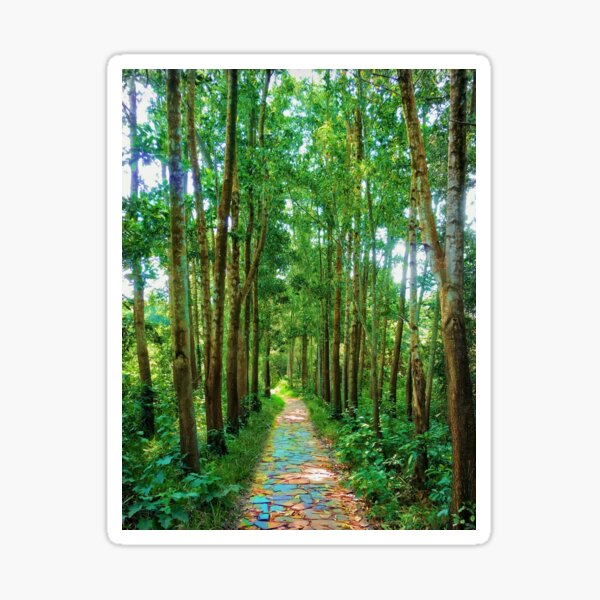 The Path to Peace Sticker