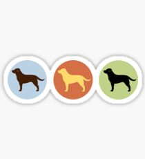 Labrador Retrievers: Chocolate, Yellow, Black Sticker