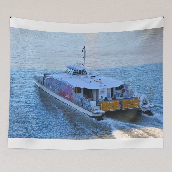Item preview, City ferry, Brisbane 2 designed and sold by FranWest.