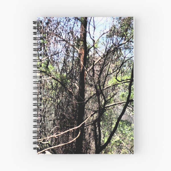 Item preview, After the fires  designed and sold by Jodie Cooper.