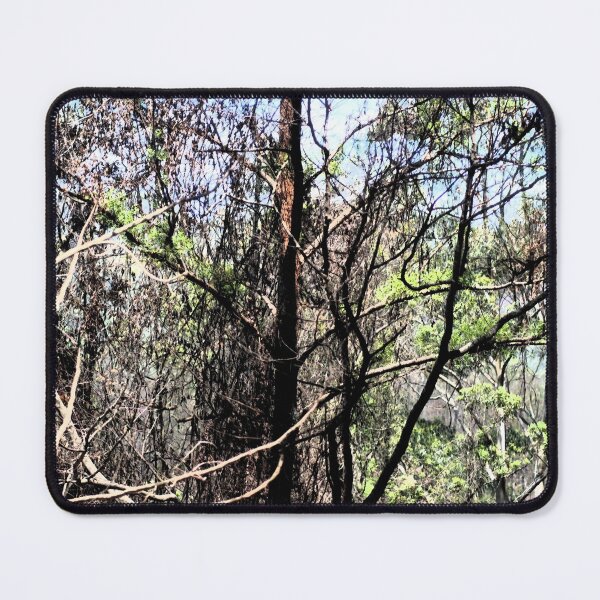 Item preview, After the fires  designed and sold by Jodie Cooper.