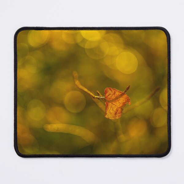 Item preview, The last autumn leaf 3 designed and sold by Veikko  Suikkanen.