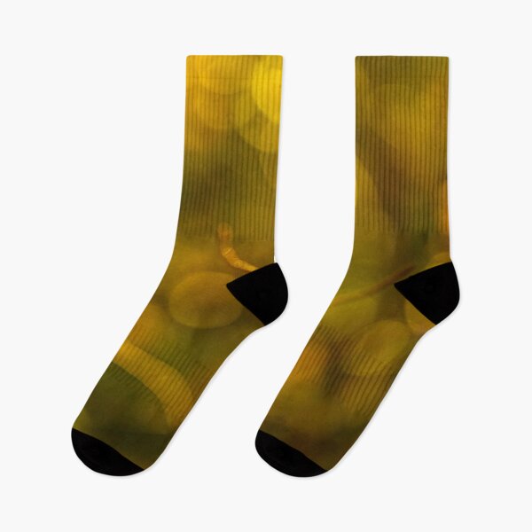 Item preview, The last autumn leaf 3 designed and sold by Veikko  Suikkanen.