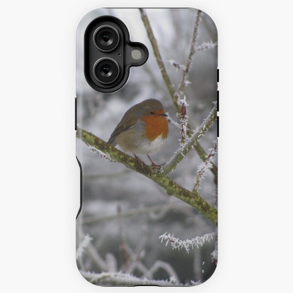 Item preview, Robin and Winter Scene designed and sold by wiggyofipswich.