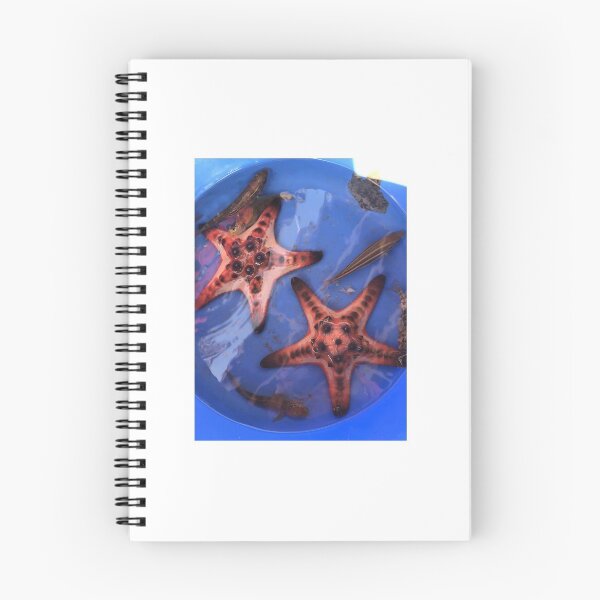 Item preview, Starfish  designed and sold by Hope001.