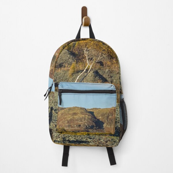 Item preview, Solitary Silver Birch Hodge Close Quarry designed and sold by Cameranick.