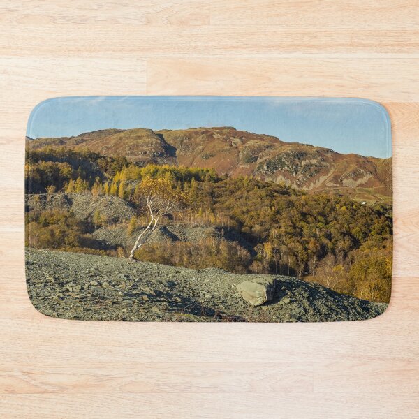 Item preview, Solitary Silver Birch Hodge Close Quarry  designed and sold by Cameranick.