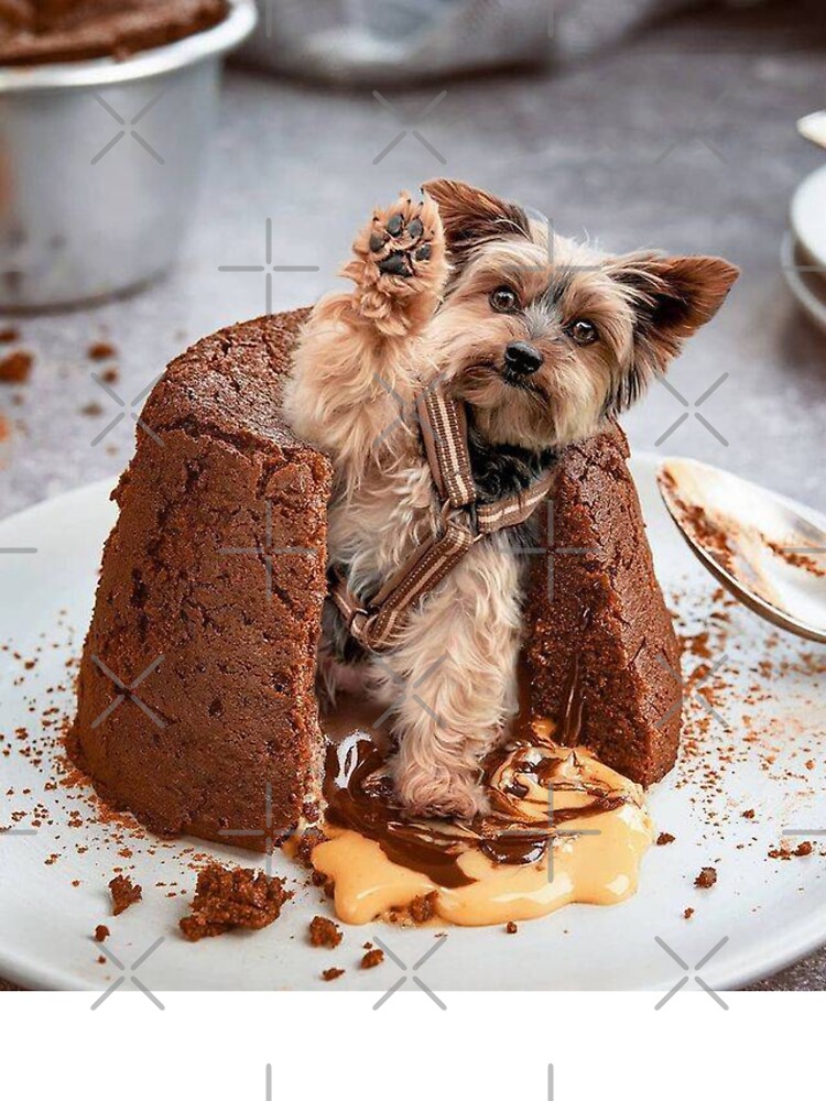 Yorkie dog cake | The Rosebud Cake Company | Flickr