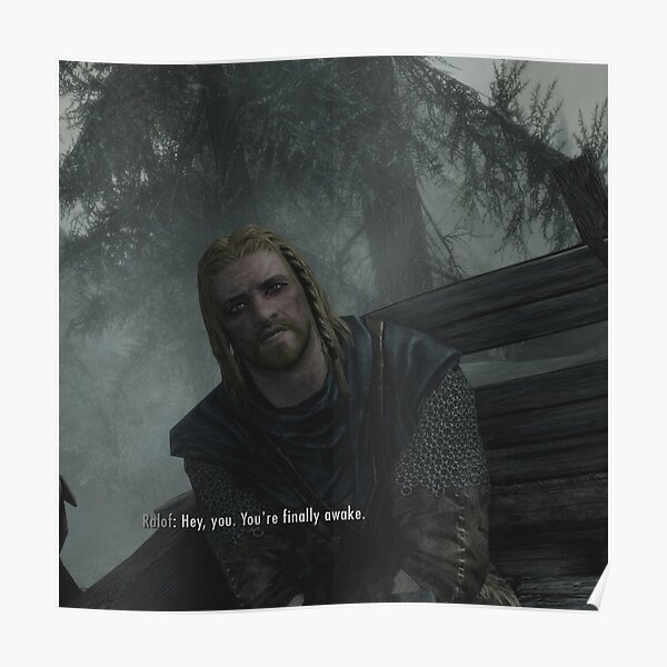 Hey You Youre Finally Awake Skyrim Meme Poster For Sale By 2ndhill