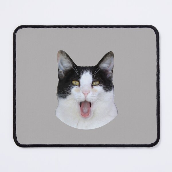 Item preview, Beluga Discord - Beluga Cat designed and sold by DiensDesign.