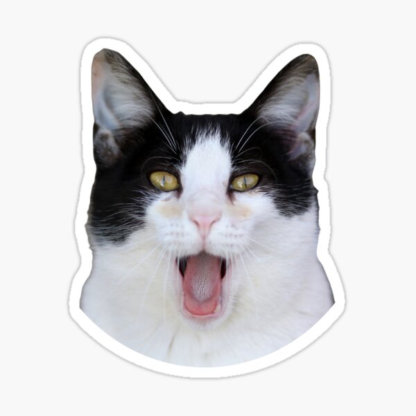 uga buga  Cat stickers, Transparent decals, Cute memes