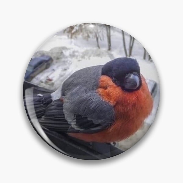 Item preview, Russian bullfinch bird designed and sold by Rashkin.