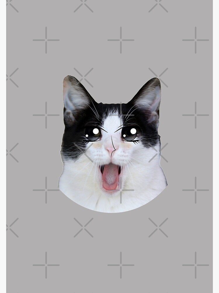 Beluga Discord - Beluga Cat - Pixel Pink Glasses Poster for Sale by  DiensDesign