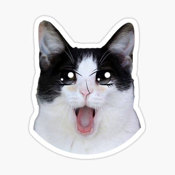 Just A Men Who Loves Beluga Cat' Sticker