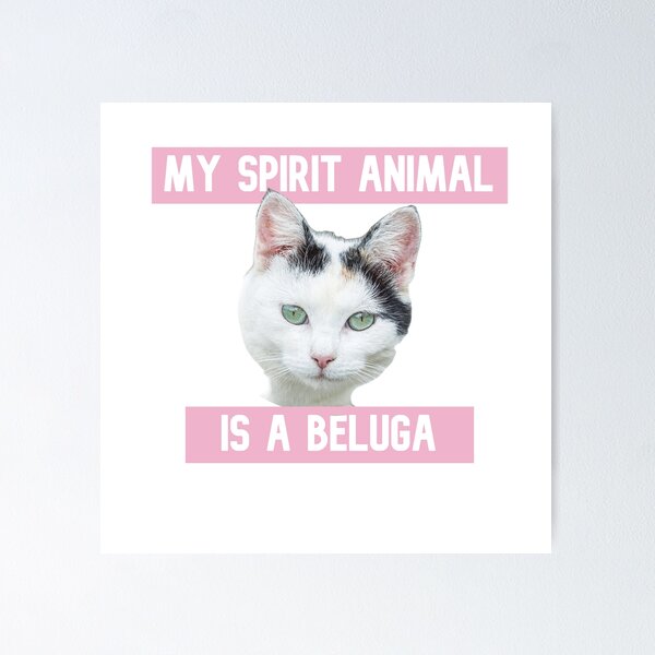 Beluga Discord - Beluga Cat - Pixel Pink Glasses Poster for Sale by  DiensDesign