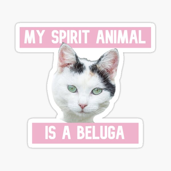 German Beluga Cat Lover iPhone Case by BELUGA