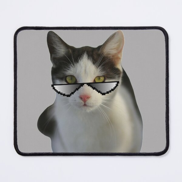 Beluga Discord - Beluga Cat - Pixel Pink Glasses Poster for Sale by  DiensDesign