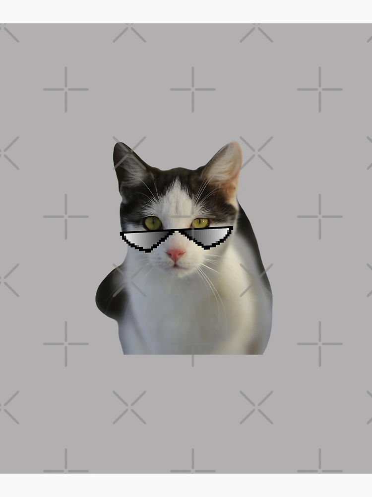 Beluga Discord - Beluga Cat - Pixel Pink Glasses Poster for Sale by  DiensDesign