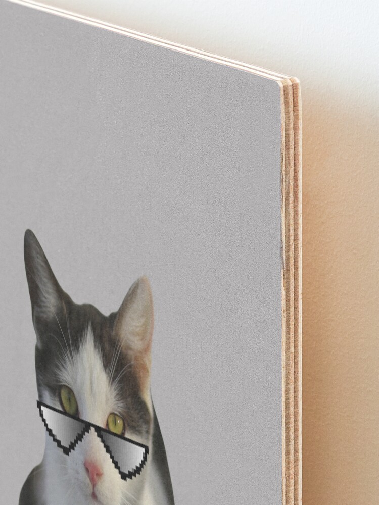 Beluga Discord - Beluga Cat - Pixel Pink Glasses Art Board Print for Sale  by DiensDesign