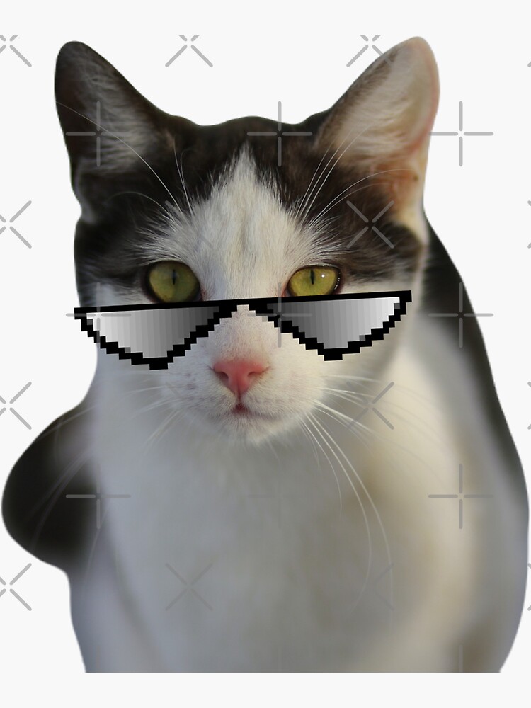 Beluga cat, Beluga Cat Meme, Meme Sticker for Sale by graphic