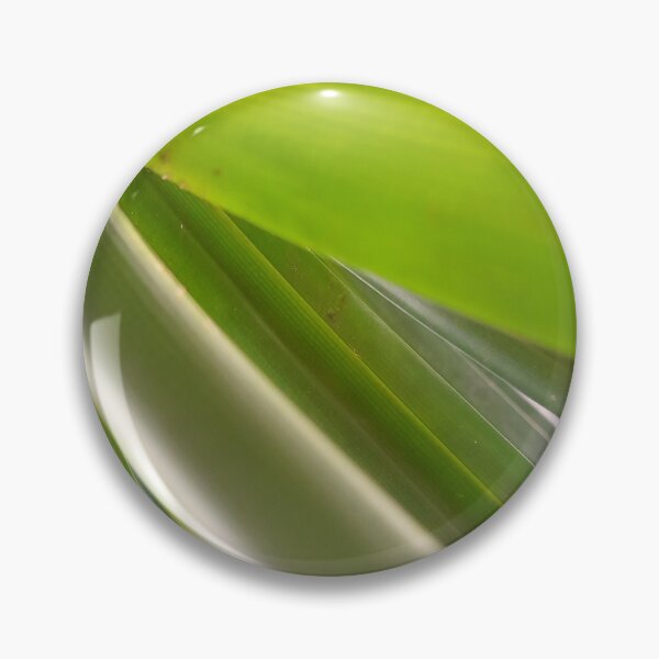 Item preview, NETURAL GREEN of bird's nest fern is the real leaf. designed and sold by Pattanapong Pongampai.