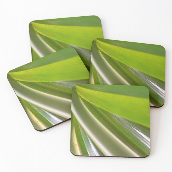 Item preview, NETURAL GREEN of bird's nest fern is the real leaf. designed and sold by Pattanapong Pongampai.