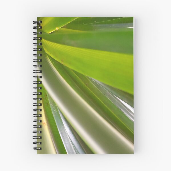Item preview, NETURAL GREEN of bird's nest fern is the real leaf. designed and sold by Pattanapong Pongampai.