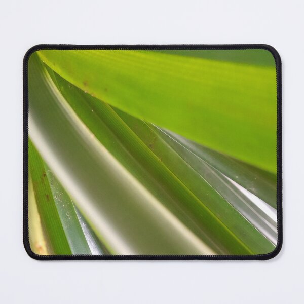 Item preview, NETURAL GREEN of bird's nest fern is the real leaf. designed and sold by Pattanapong Pongampai.