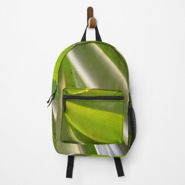 Item preview, NETURAL GREEN of bird's nest fern is the real leaf. designed and sold by Pattanapong Pongampai.
