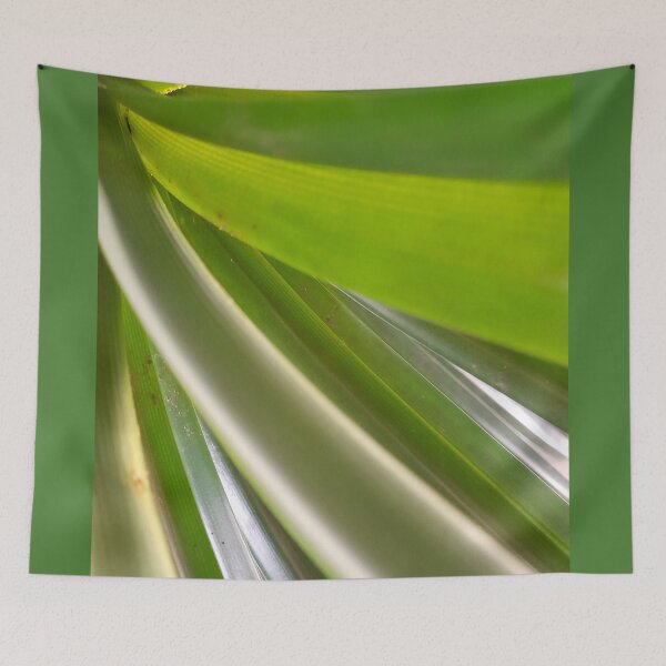 Item preview, NETURAL GREEN of bird's nest fern is the real leaf. designed and sold by Pattanapong Pongampai.