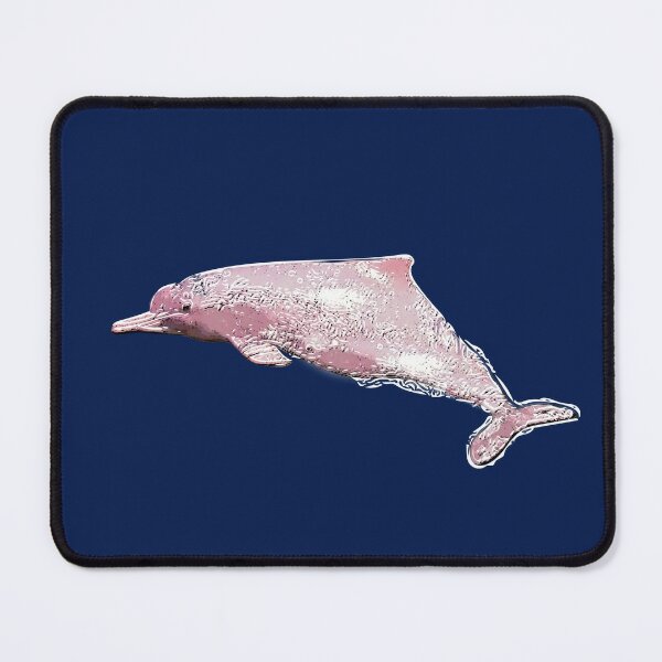 Pink River Dolphin Fun Facts for Divers and Ocean Lovers