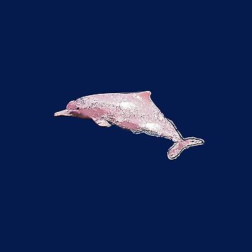 River Dolphin White Alternate Design  Essential T-Shirt for Sale by  designsasstultd