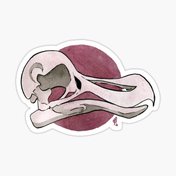 Dodoschädel Sticker