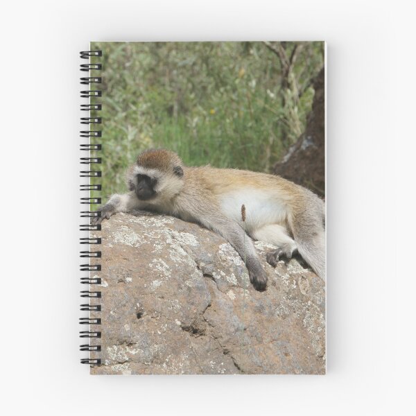 Item preview, Sleeping Monkey on Rock by aariv designed and sold by aariv.