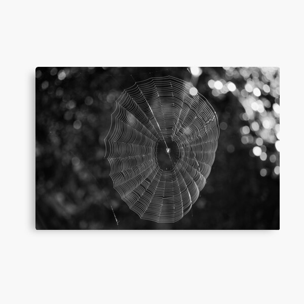 Item preview, webbed designed and sold by StaLiVa.