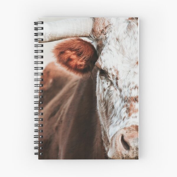 Item preview, Cow portrait designed and sold by OrionPhotograph.