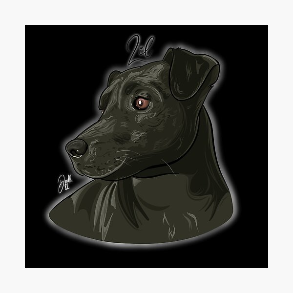 Item preview, Lil - Patterdale (Black Background) designed and sold by doodleeightytwo.