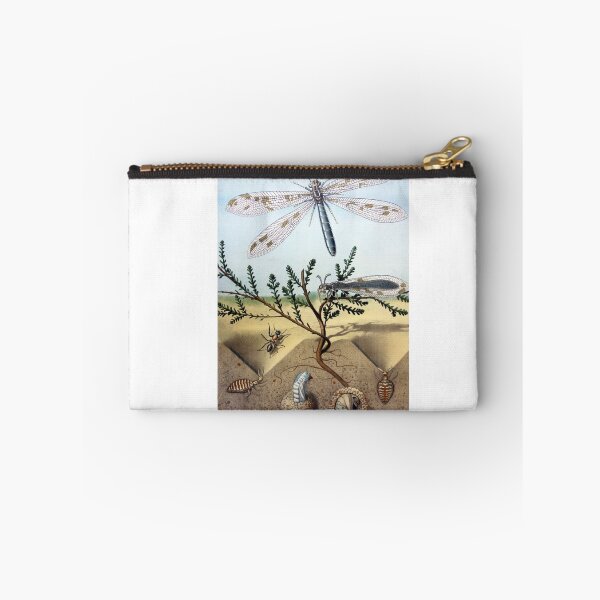 Item preview, Vintage Dragonfly Ant Insects Poster Scene Illustration designed and sold by vintageprints7.
