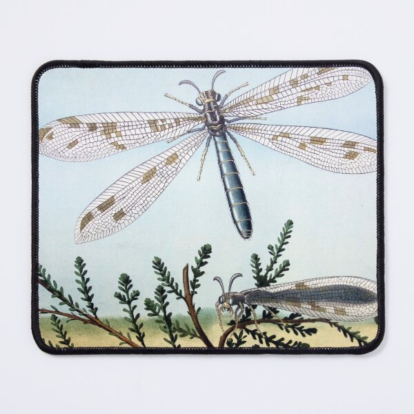 Item preview, Vintage Dragonfly Ant Insects Poster Scene Illustration designed and sold by vintageprints7.