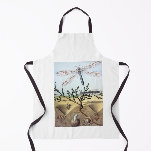 Item preview, Vintage Dragonfly Ant Insects Poster Scene Illustration designed and sold by vintageprints7.