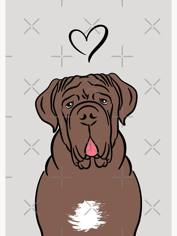 Chocolate neapolitan hot sale mastiff