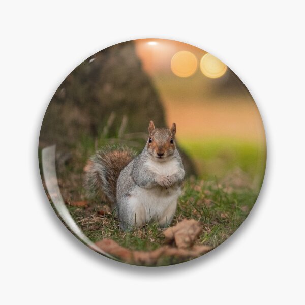 Item preview, Squirrel in Woods designed and sold by ScoutIRE.