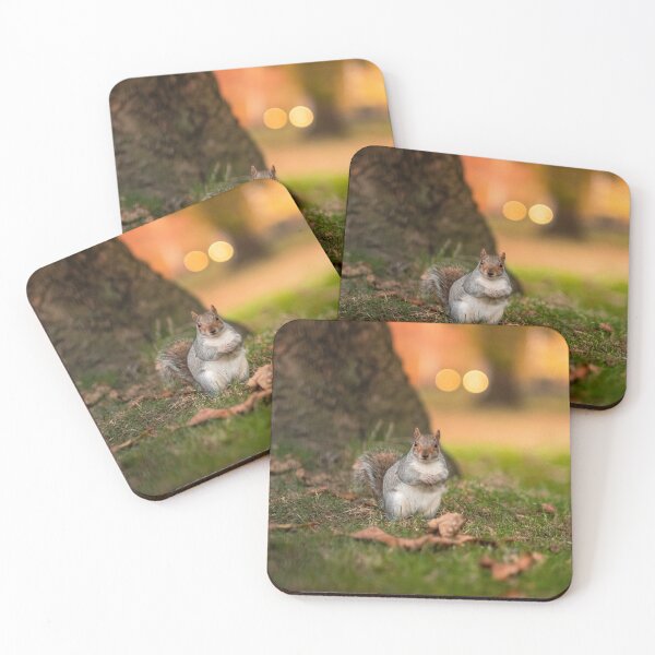 Item preview, Squirrel in Woods designed and sold by ScoutIRE.
