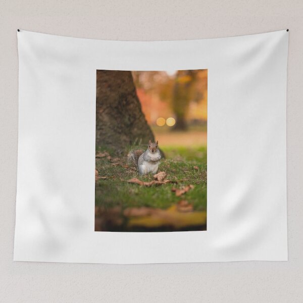 Item preview, Squirrel in Woods designed and sold by ScoutIRE.